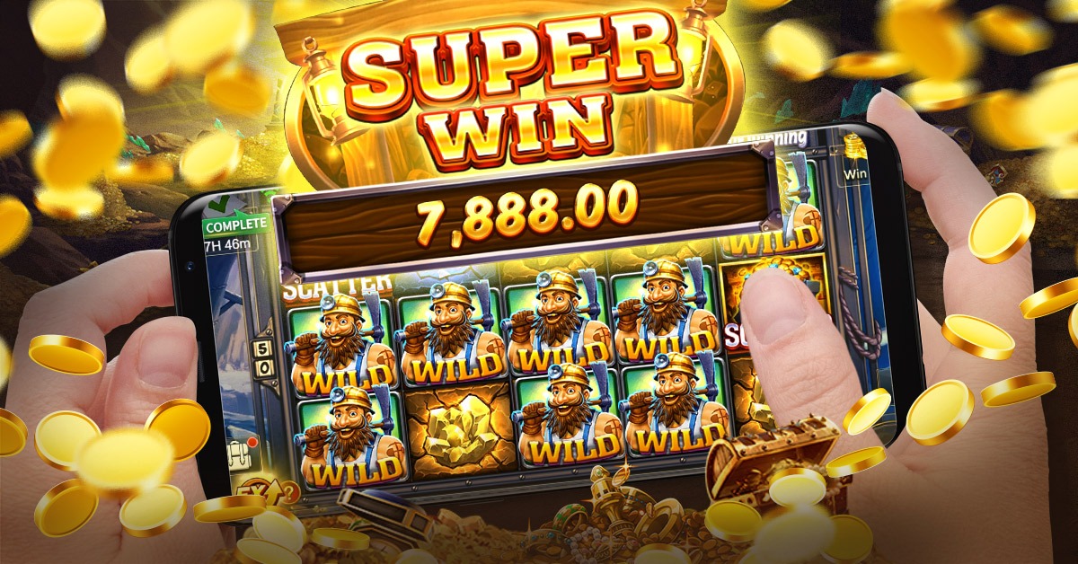 555win