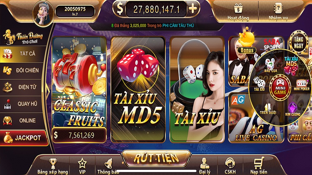 555win