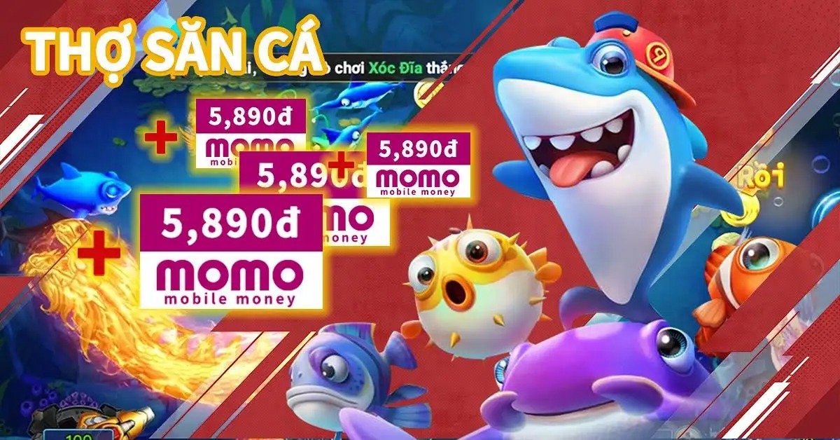 555win