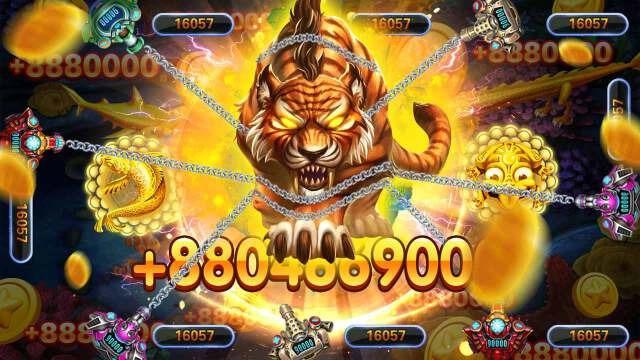 555win