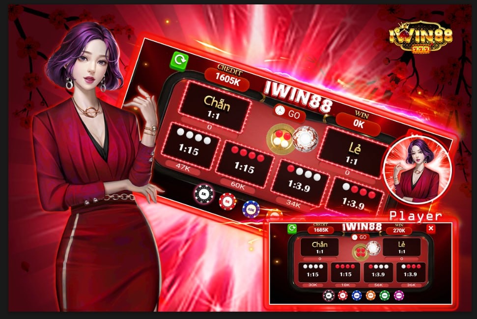 555win