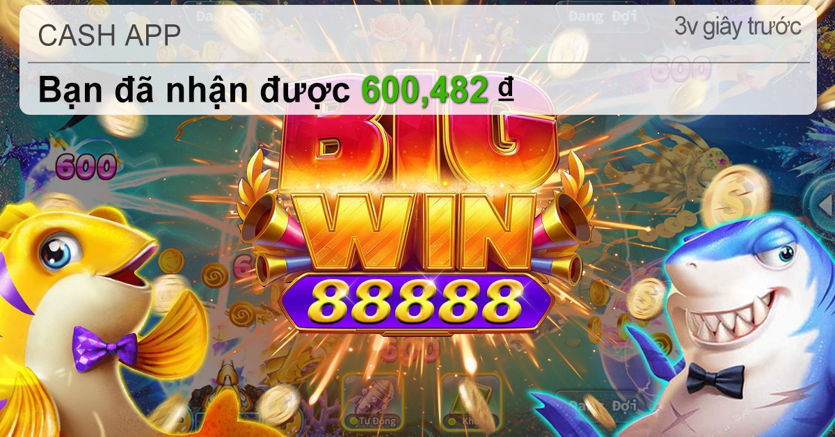 555win